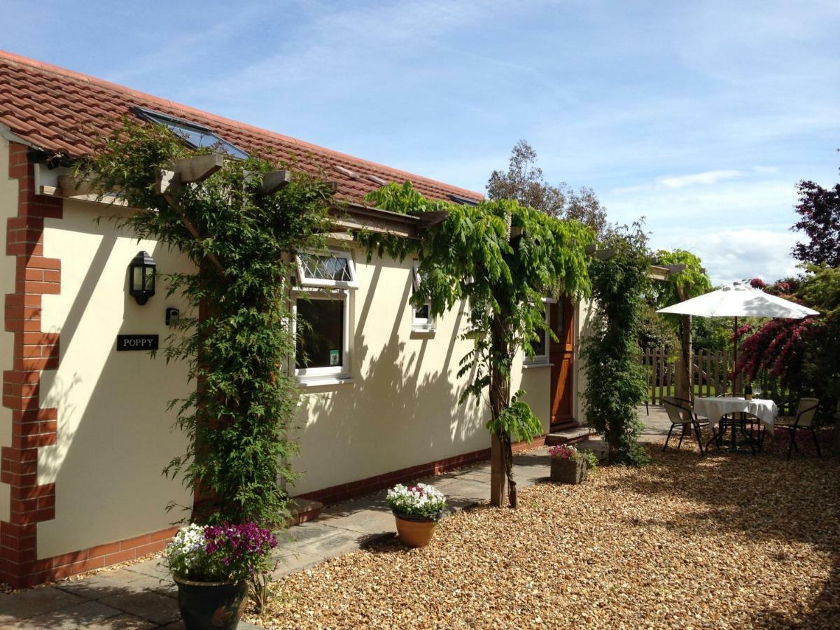 Ashford House B&B เวลส์ ภายนอก รูปภาพ